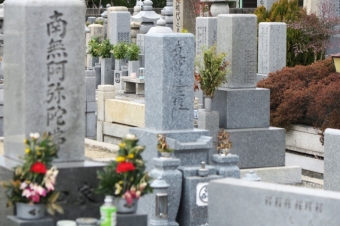 永代供養で結局合葬されるなら最初から安価な合同墓も選択肢の一つ