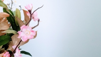仏壇にお供えする花は造花でもいいの？生花とどう使い分ける？