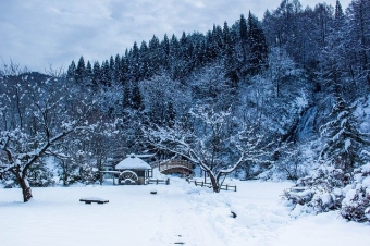 青森や岩手を中心に東北地方に伝わる民間信仰の「隠し念仏」とは