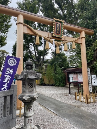 東京都品川区の蛇窪神社は蛇とどのような関係があるのか調べてみた