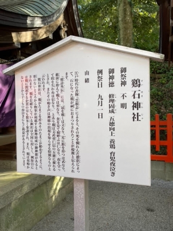 福岡市東区にあるニワトリを祀る香椎宮の鶏石神社を調べてみた