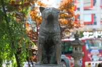 忠犬ハチ公のお墓や夏目漱石が飼っていた犬や猫、鳥のお墓を紹介