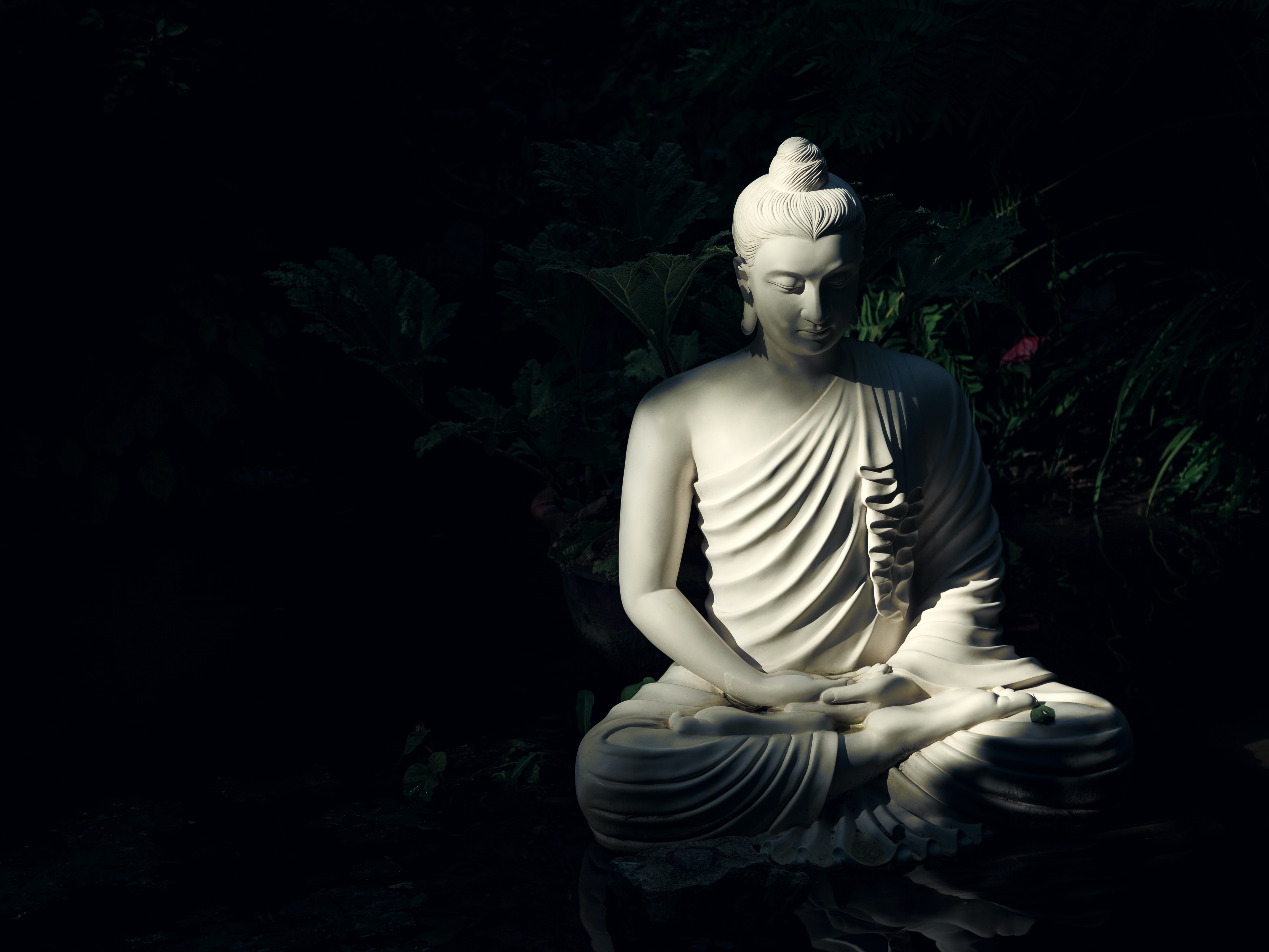 仏教開祖の釈迦を日本仏教（真言密教・浄土系仏教・禅宗・日蓮宗）はどう捉えているか