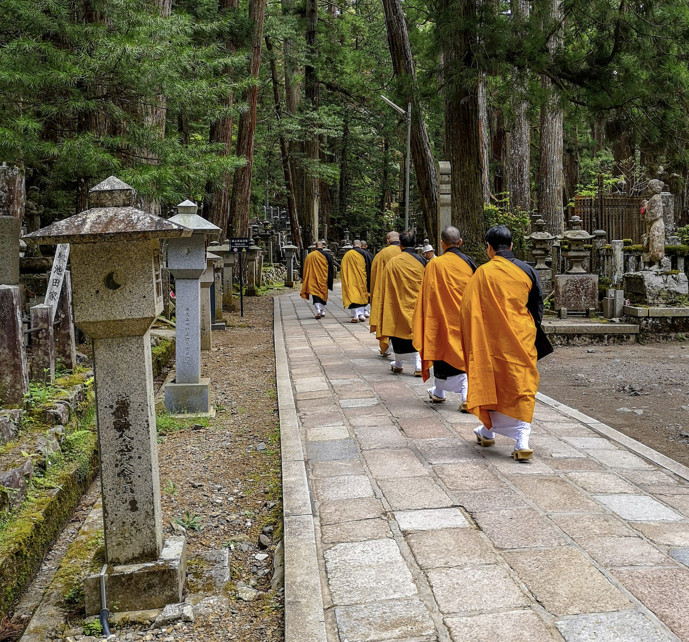 高野山や比叡山、仏像美術、謎多き空海、加持祈祷等　魅力多い密教