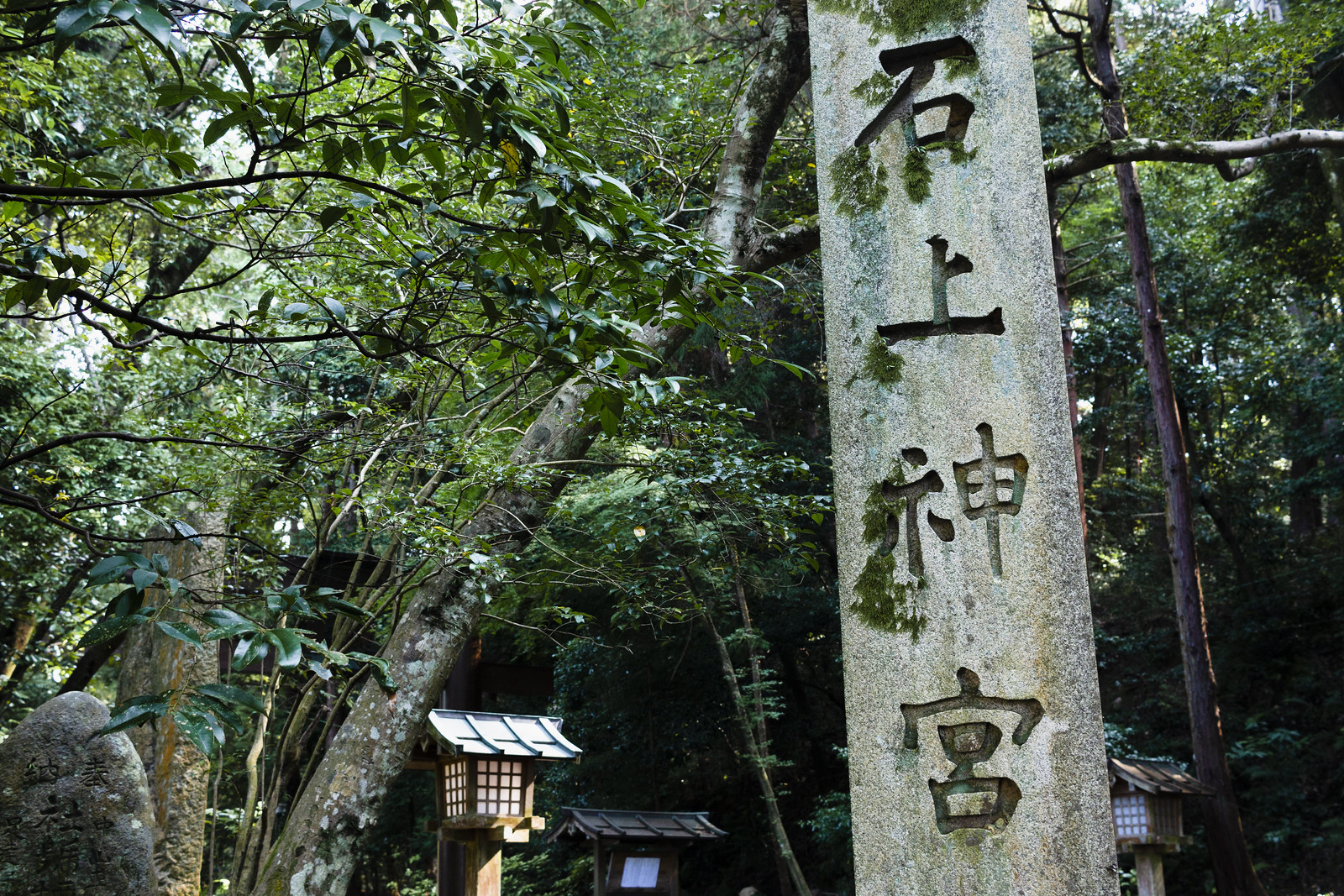 神道に残る最大の謎 死者を復活させる十種神宝(とくさんのかんだから)