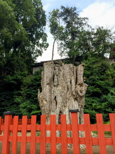 非業の死を遂げた源実朝と三大祟り神（菅原道真・平将門・崇徳天皇）との違い