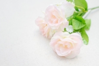 墓前に供えるお花って何を選んだらいいの？故人が喜ぶならなんでもいいの？