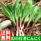 幻の山菜【送料無料】北海道産天然行者にんにく1.0kｇ入り