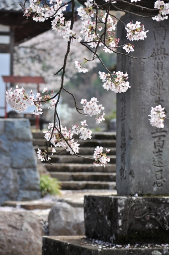 疎遠になりがちなお寺との付き合い方について改めて考えてみませんか？