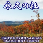 	
ペット「永久の杜」自然埋葬【永久の杜への散骨】〜自然に帰る【北海道/日高山脈/眺望/牧場】