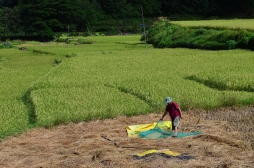 ハンギング・コフィンが生まれた理由とは？！