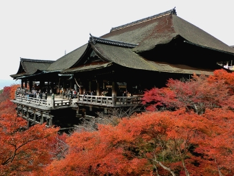 深刻なお寺の後継者問題。実家の寺はなんとか後継者が見つかりましたが…。