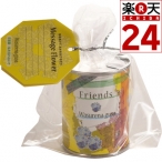 メッセージフラワー 忘れな草【楽天24】【あす楽対応】[栽培キット]