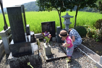 掃除用具等の荷物を車に積んで、一家総出が恒例だった私のお墓参りの思い出