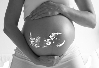 お母さんのお腹の中にいる状態の赤ちゃん・胎児にも相続権はあるの？