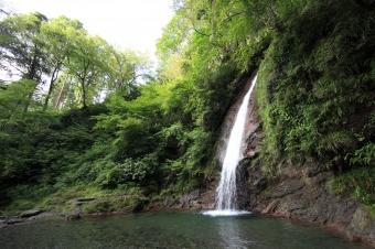 【都道府県別の葬儀】埼玉県秩父市の独特な葬儀慣習を紹介！（後編）