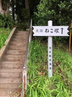 横浜市旭区の妙蓮寺側にあるねこ塚の言い伝えと増加する日本への移民