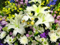 故人様がお好きだったという百合の花を沢山使用して一日葬を執り行いました