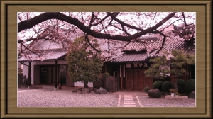 月江院